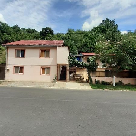 Casa Iza Apartman Herkulesfürdő Kültér fotó