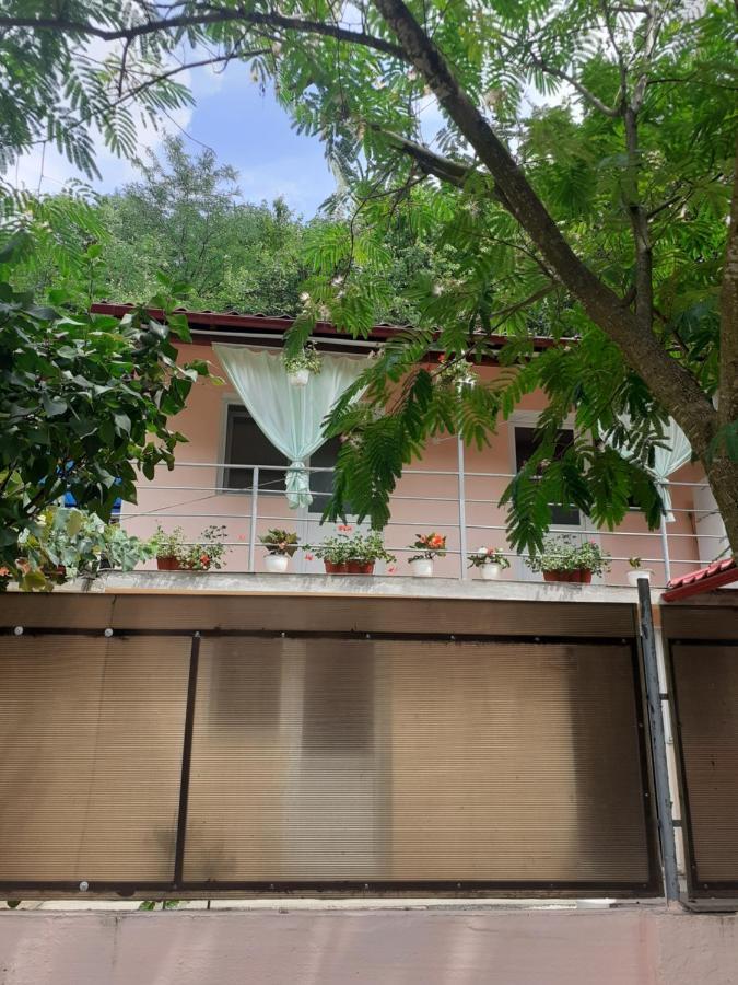 Casa Iza Apartman Herkulesfürdő Kültér fotó