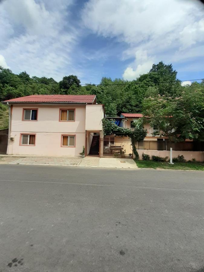 Casa Iza Apartman Herkulesfürdő Kültér fotó